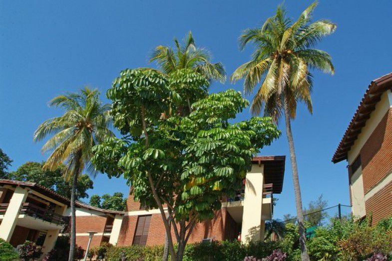 Hotel Versalles Santiago di Cuba Esterno foto